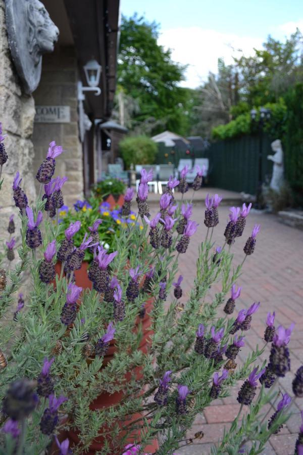 Castle Green Bed And Breakfast Ashbourne (Derbyshire) Exterior foto